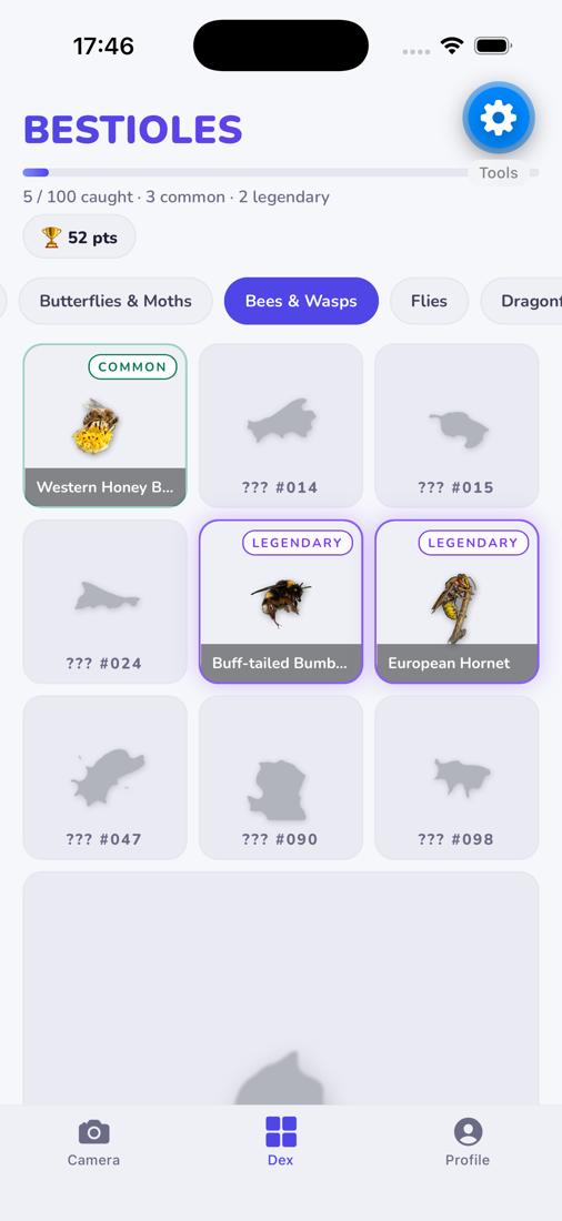 Bestioles app: the Bees & Wasps dex with caught species and locked silhouettes